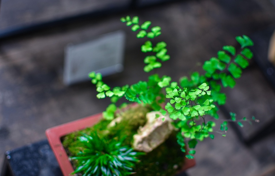 诗和远方虽美，路上却有避之不及的黑魔法！