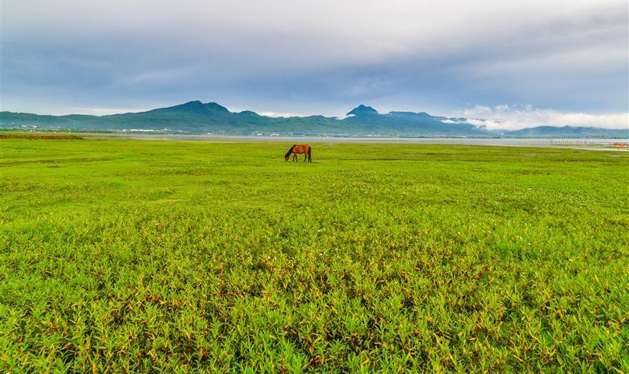 诗和远方虽美，路上却有避之不及的黑魔法！