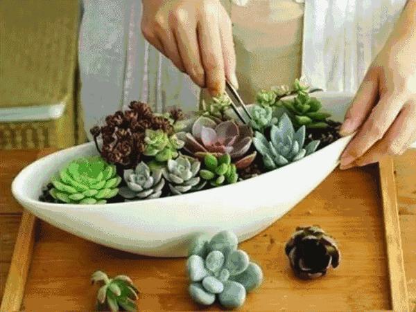 上海最省钱旅游攻略,旅游省钱从上海出发