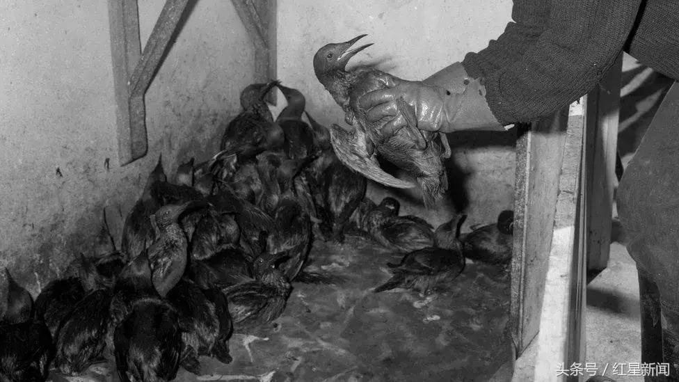 桑吉号沉没视频,桑吉号沉船事故