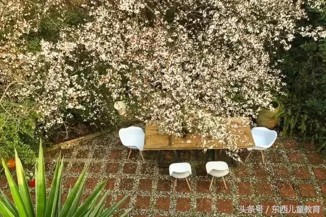 奇迹男孩经典书籍,奇迹男孩书籍适合几年级孩子看