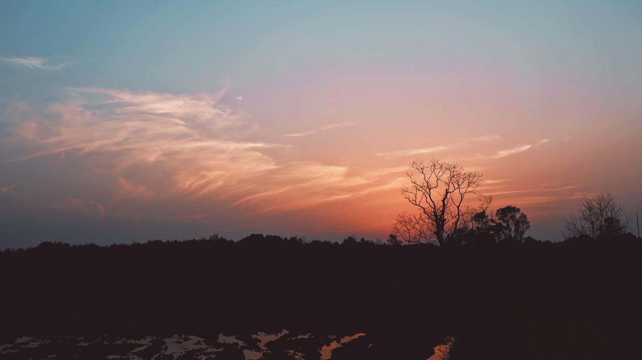 佳能eosm6原装镜头拍摄效果好吗,佳能eosm6数码相机