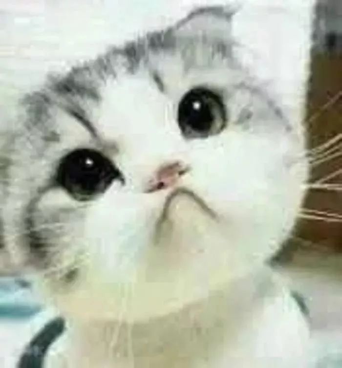 再上22天班，郑州人集体放假！做完这16件事，就过年啦！