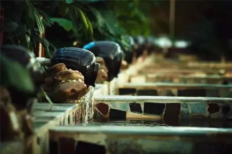 再上22天班，郑州人集体放假！做完这16件事，就过年啦！