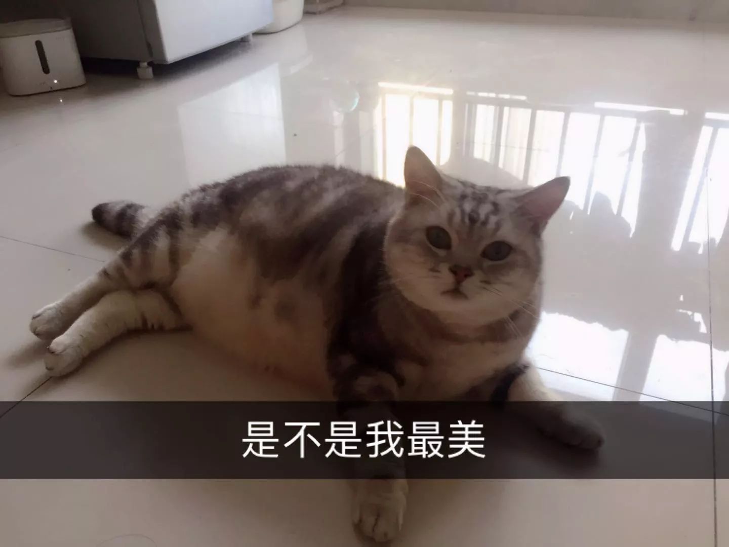 干货|臭臭臭!怎么办?只需2秒,轻轻一喷,彻底告别尴尬!