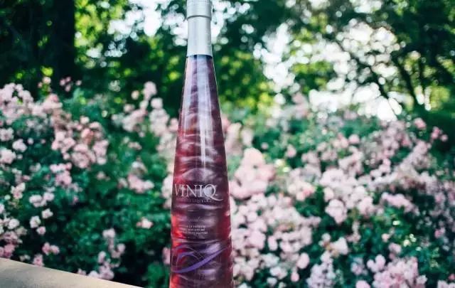 4款良心酒推荐,测评高颜值而又好看的酒