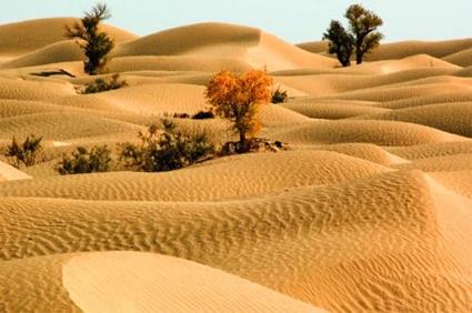 百万英雄出题需要答案么,百万英雄几道题