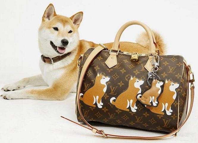 lv阿玛尼酷奇,lv和阿玛尼哪个更大牌