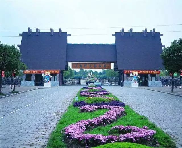 上海最省钱旅游攻略,旅游省钱从上海出发