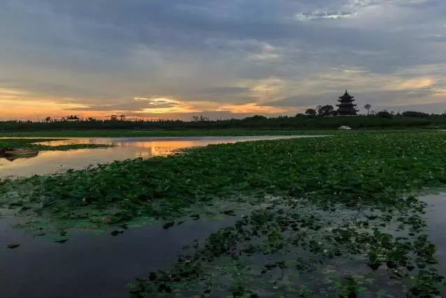 上海最省钱旅游攻略,旅游省钱从上海出发