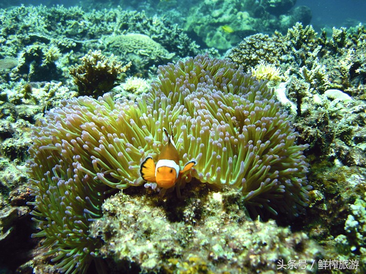 北京直飞沙巴的航班,北京直飞马来西亚旅游