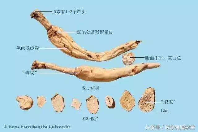 每天最少学一味中药五味子,每天最少学一味中药方子