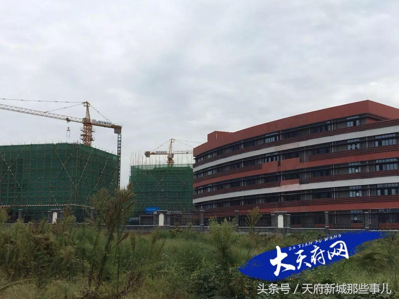 天府新区橡树林华府附近在建学校,成都天府新区k12学校有哪些