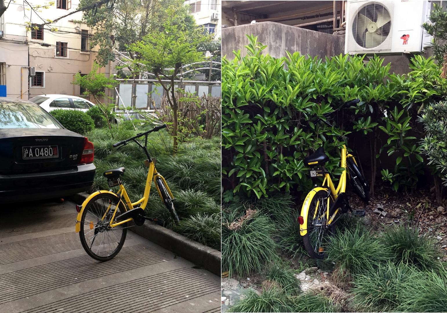 真正好骑的小蓝单车,终于要回来了!