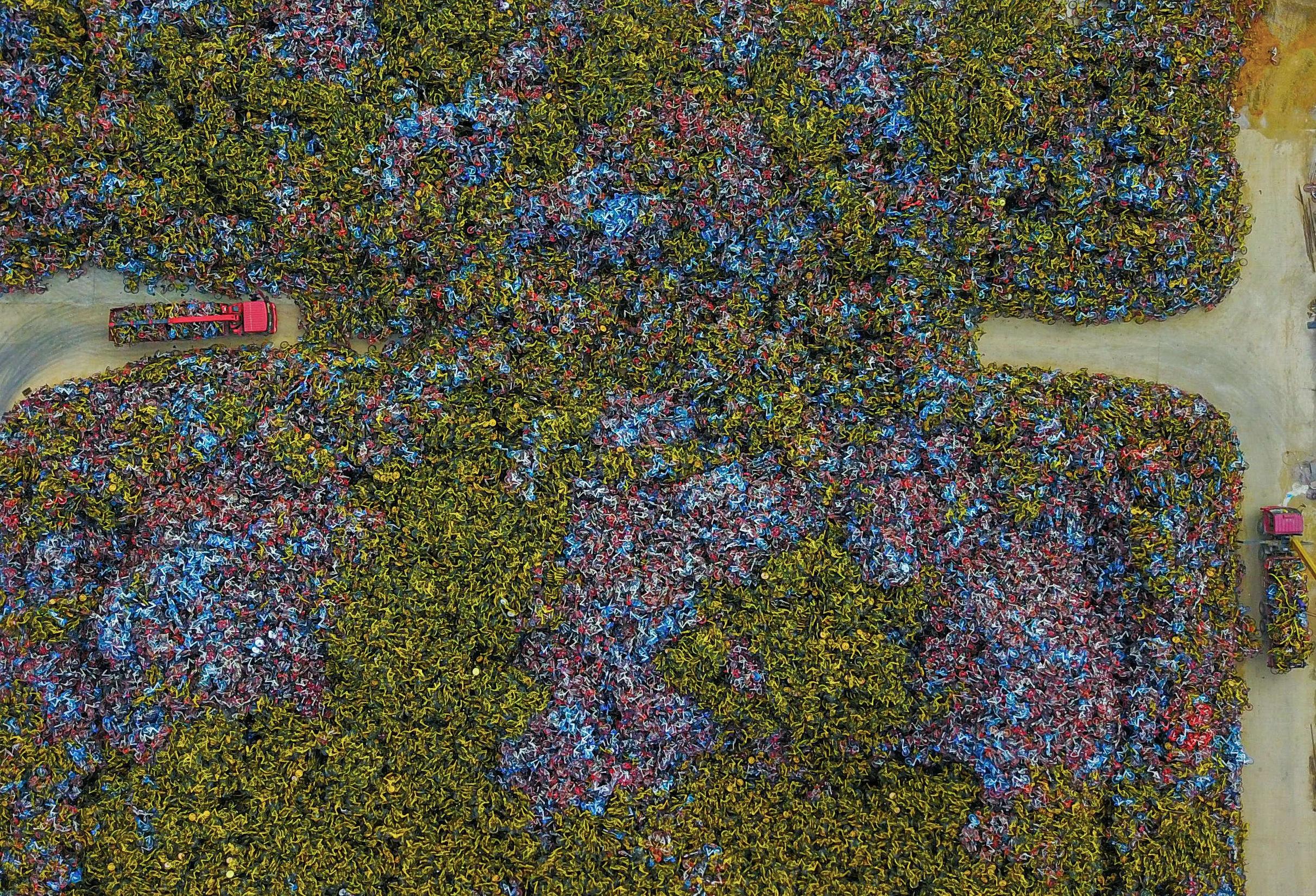 真正好骑的小蓝单车,终于要回来了!