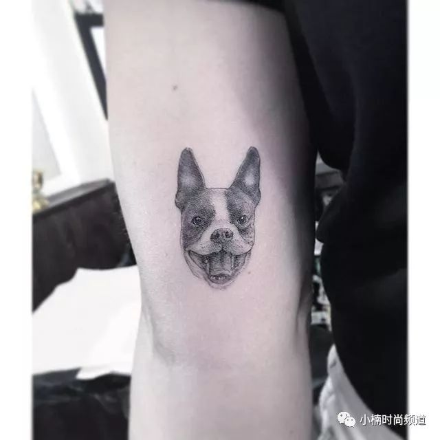 一看就爱上的配色,小众刺青图案