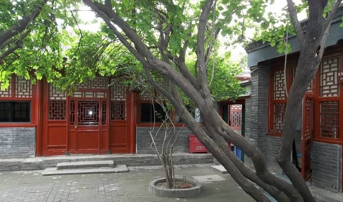 闰土孙子去鲁迅博物馆当馆长,长妈妈是闰土的母亲吗