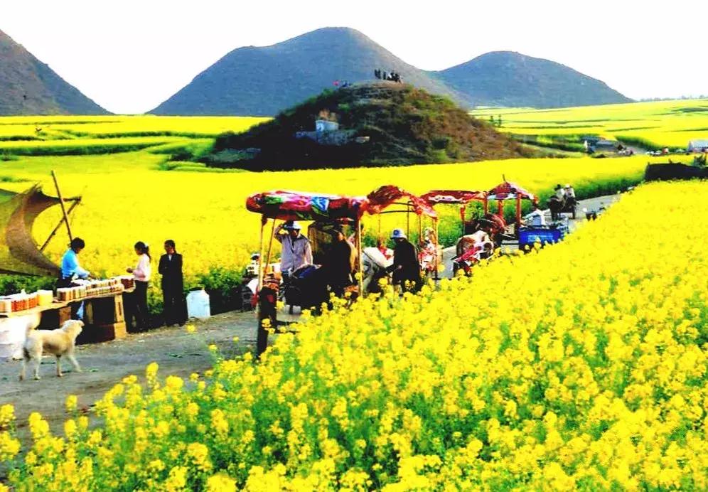 春节自驾山西旅游4-5天详细攻略,2019春节上海出发自驾旅游去哪里