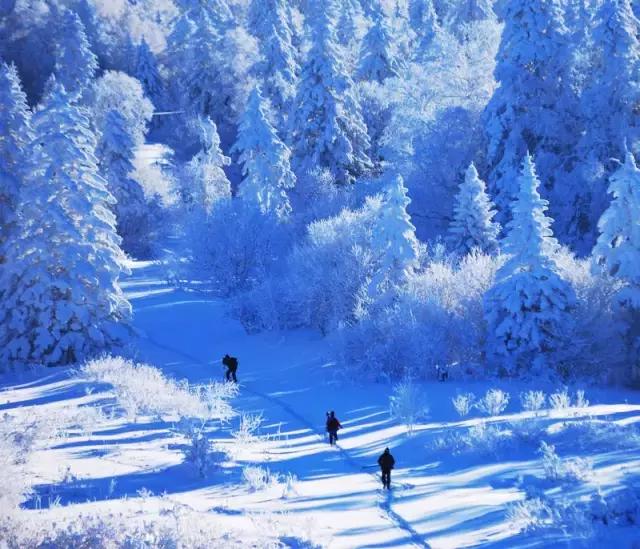 春节自驾山西旅游4-5天详细攻略,2019春节上海出发自驾旅游去哪里