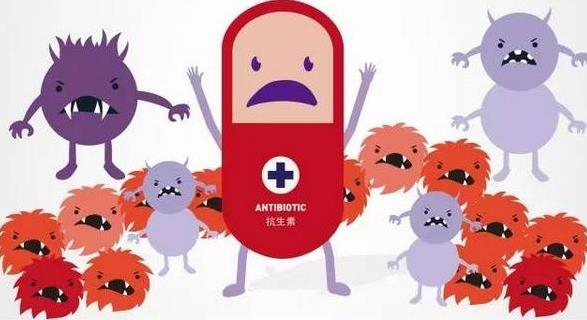 抗生素是细菌还是真菌,抗生素是指病毒还是细菌