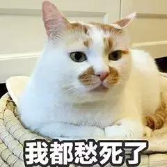 左眼皮一直在跳是什么寓意,左眼皮下眼皮一直跳是吉还是凶