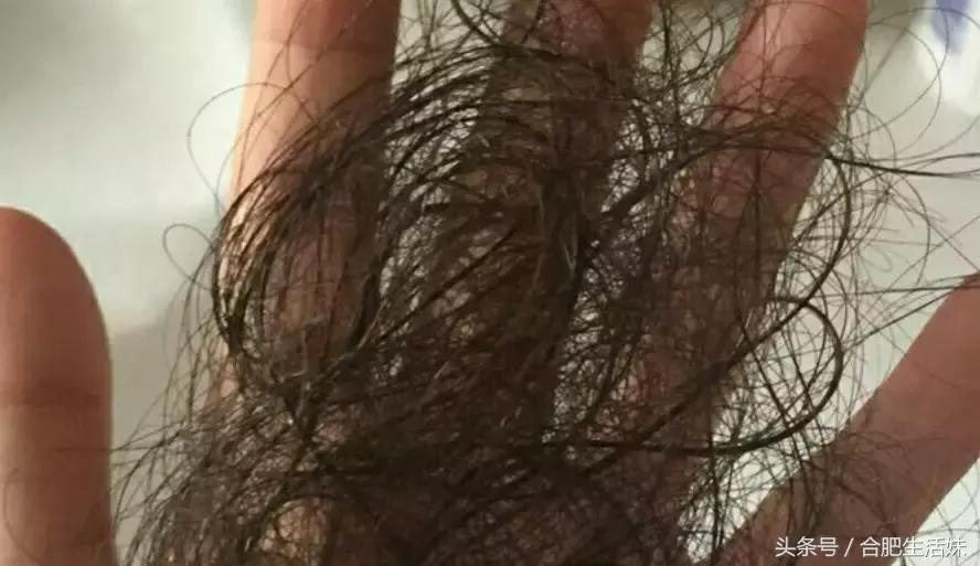 合肥天气昨天大雾情况,特强浓雾来袭全过程