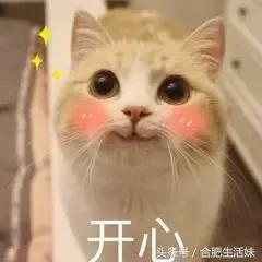 合肥天气昨天大雾情况,特强浓雾来袭全过程