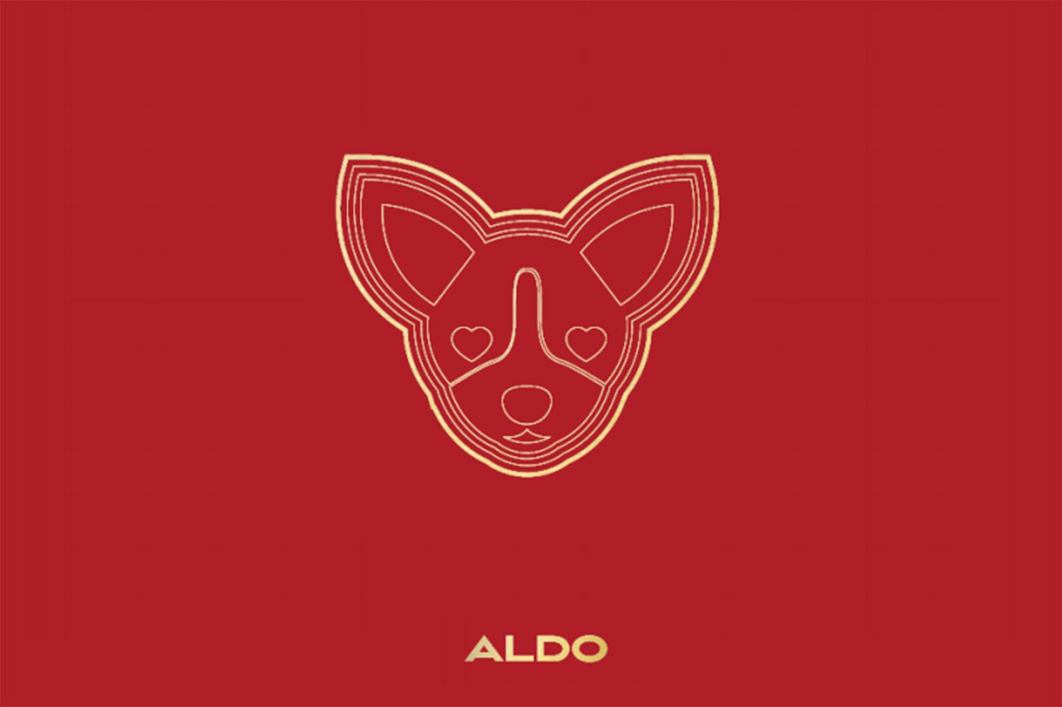 aldo鞋加拿大代购,alder鞋子