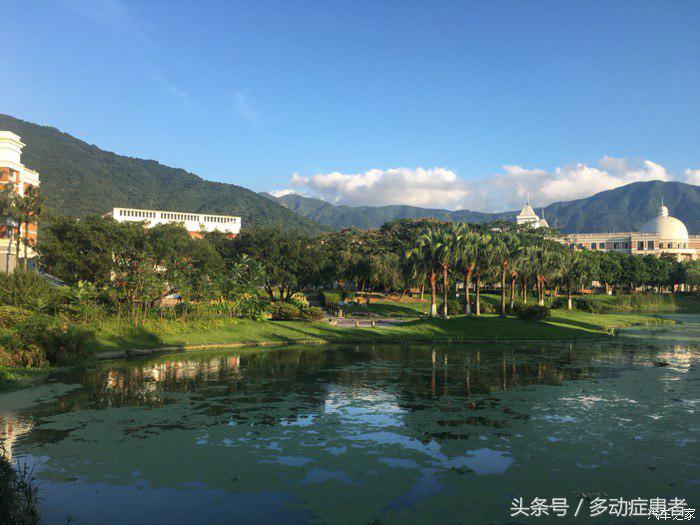 polo真实油耗,polo的油耗实测