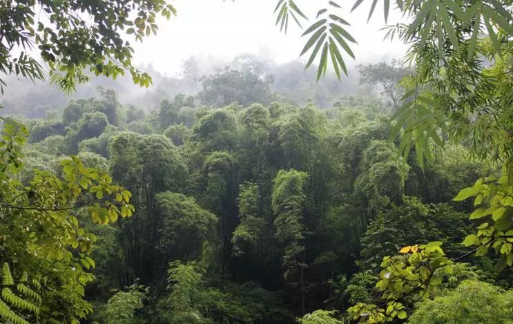 错过了这30个地方，你就相当于辜负了整个贵州！