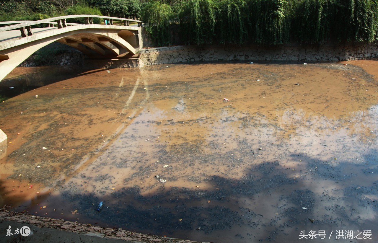 抬钓过河钓教程,四川抬钓过河钓