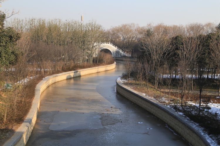 周一漫步隋唐植物园赏桃花,洛阳隋唐植物园春光