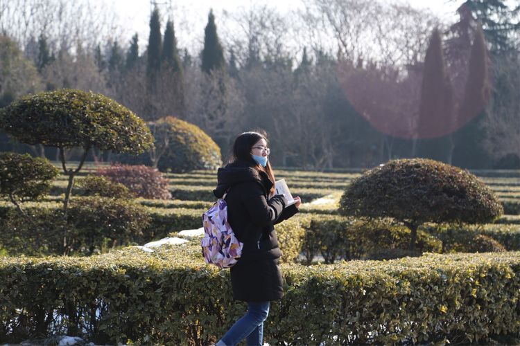 周一漫步隋唐植物园赏桃花,洛阳隋唐植物园春光