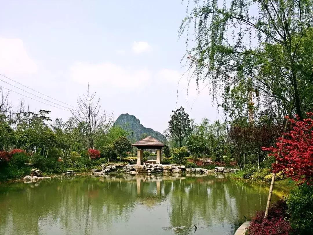 信和信集团房产,信和信桂林