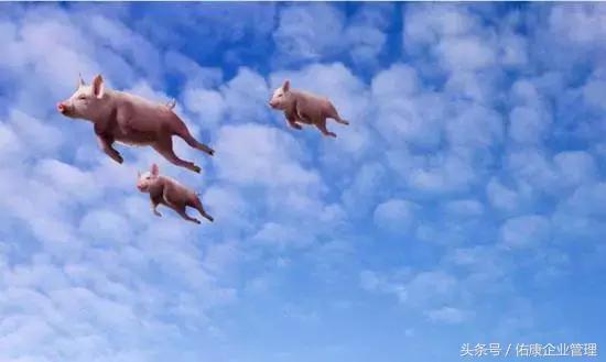 那些风口上的网红共享科技都注册了怎样有趣的公司名字?