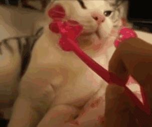 赵丽颖瘦脸的正确方法,赵丽颖是如何瘦脸瘦颧骨的