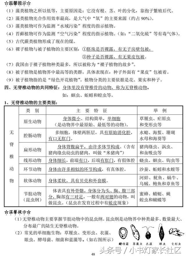 中考生物知识点总复习,中考生物复习要点最新版