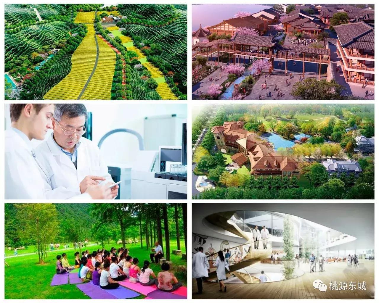 桃源县中医医院迁建工程,桃源县中医医院整体迁建工程中标