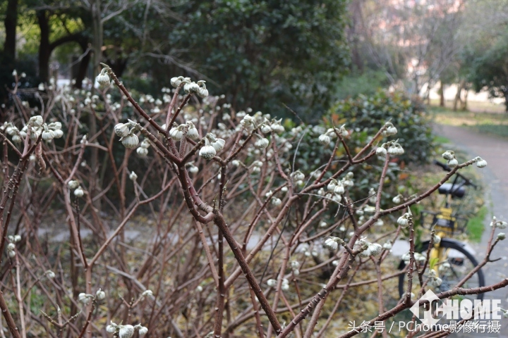 可爱又实用的相机,佳能eos200d二代是什么相机