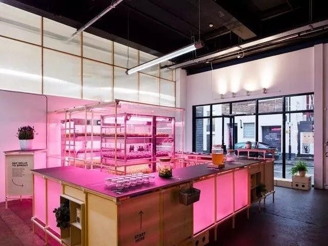 植物灯市场前景怎么样,植物照明市场占比