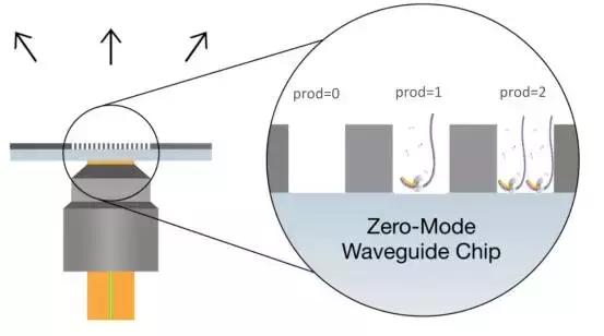 三代基因测序分别是什么,如何看三代报告