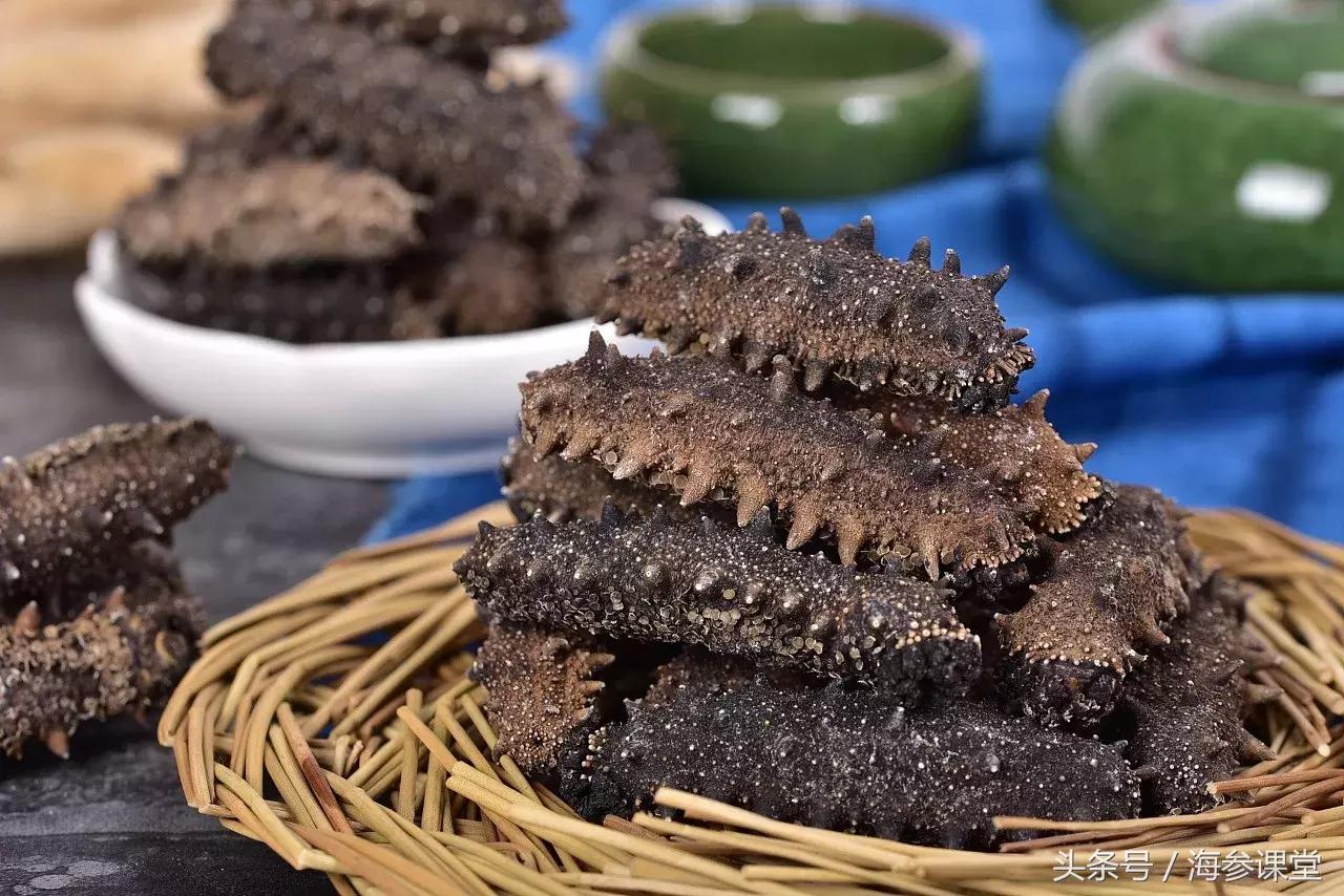 新鲜海参有营养还是干海参有营养,海参营养高还是鸡蛋营养高些