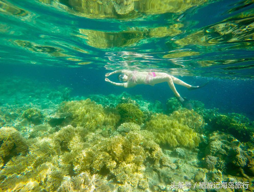 前任3林佳最后一个人出去旅游,前任3林佳走的片段