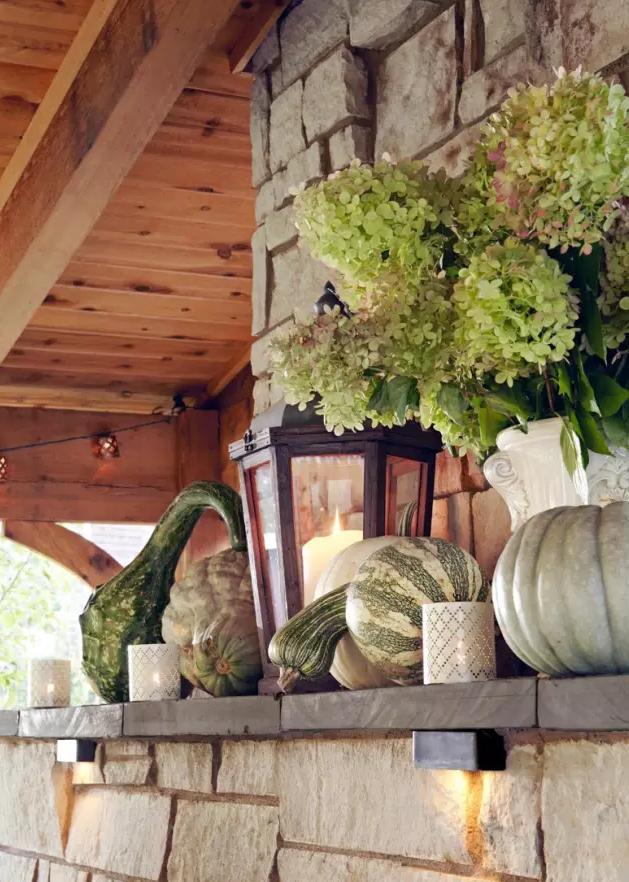 美国一家五口野外生存建房子,美国一家五口野外建房子