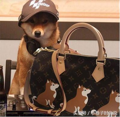 大牌的新年限定,奢侈品大牌的狗年设计