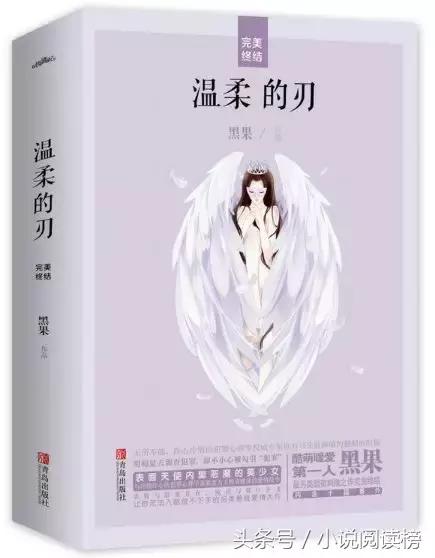 8本甜宠治愈上市新书：这场关于未来的豪赌，胜者为王，败者暖床