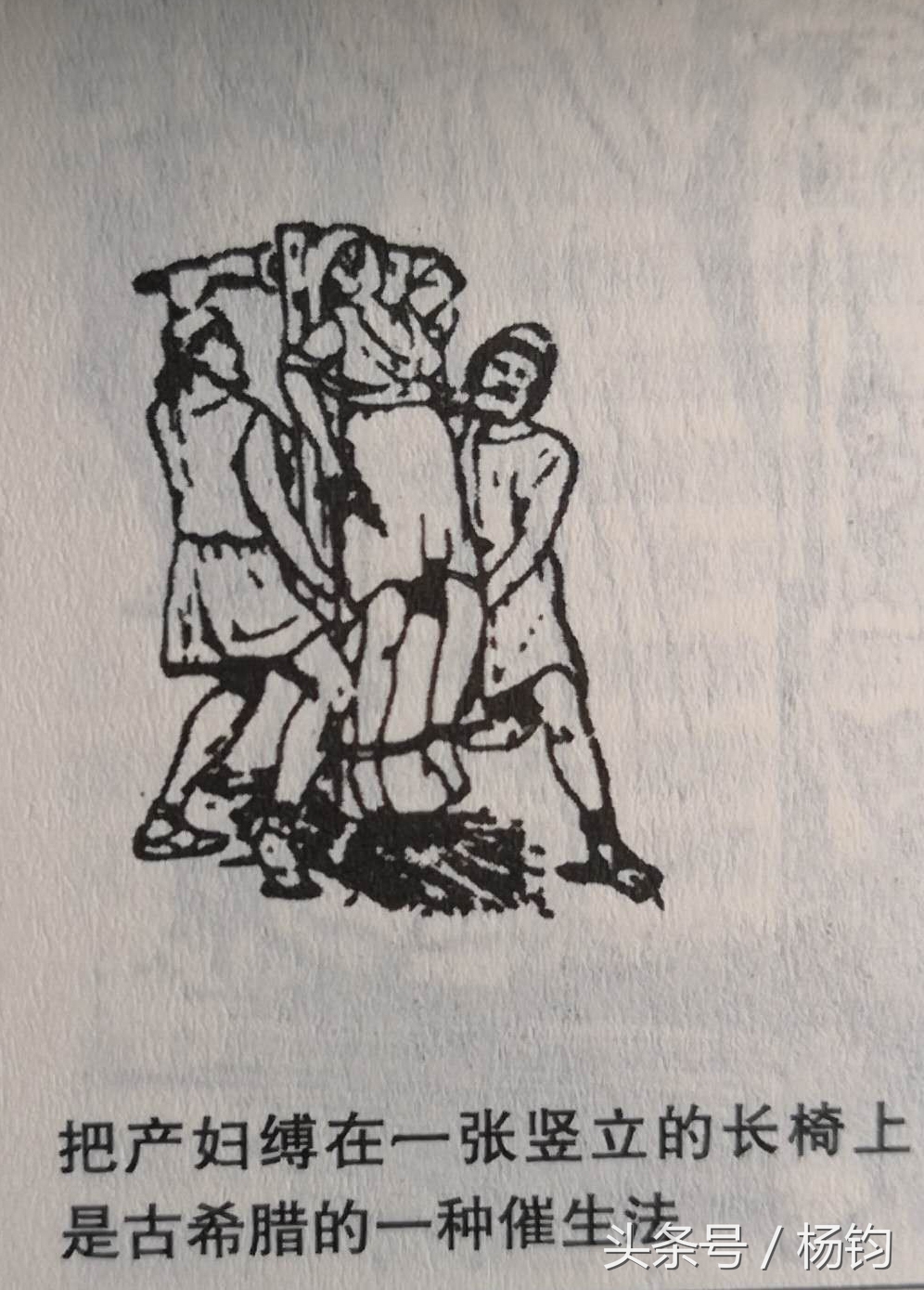 生育的真相,生育真相