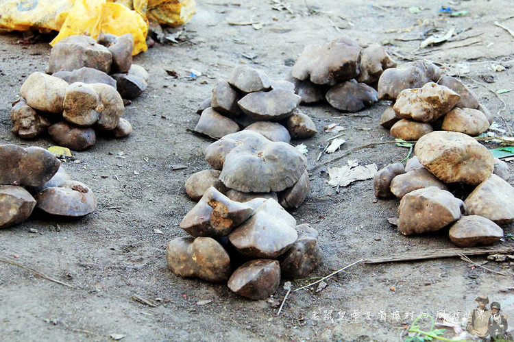 这个市场有意思：理发8元，上网一小时35元，卖花生米用瓶盖