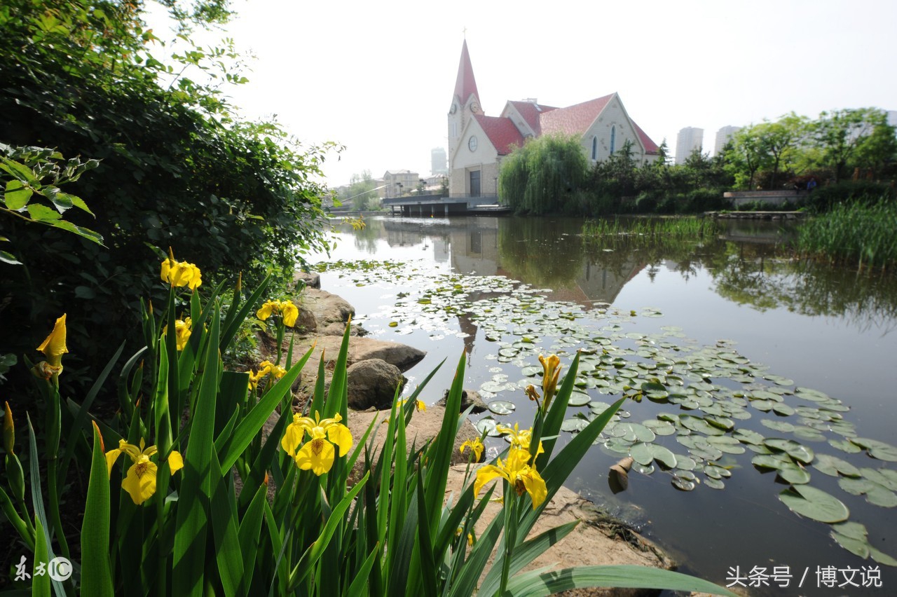 古诗人面桃花诗句,古诗人面桃花的诗句