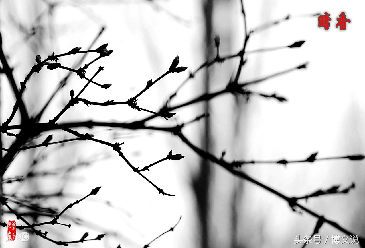 古诗人面桃花诗句,古诗人面桃花的诗句